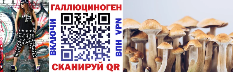 гидра вход Щёкино Псилоцибиновые грибы прущие грибы